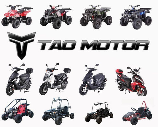 Who is the Largest Tao Motor Vehicle Dealer in the United States?