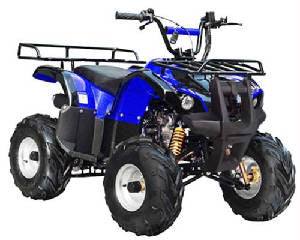ATA-125-D (Dozer 125cc Youth Utility ATVs) - TaoTao Parts Direct