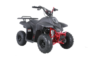 Tao Motor Rock 110 | 110cc Kids ATV with reverse