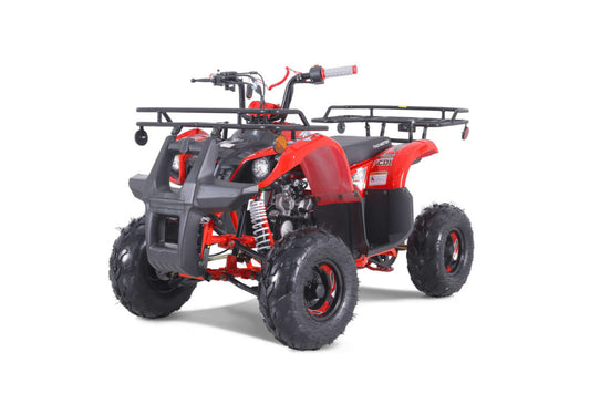 Tao Motor D125 | 110cc Youth Utility ATV