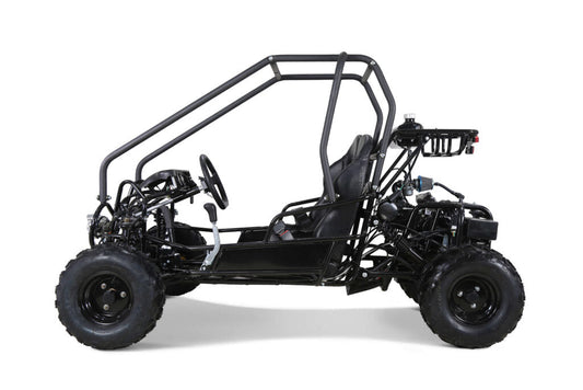 the best online company to purchase Tao Motor Go Karts from