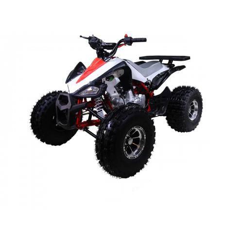 Tao Motor NewCheetah - TaoTao Parts Direct