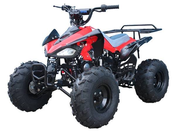 Tao Motor ATA125G / Cheetah - TaoTao Parts Direct