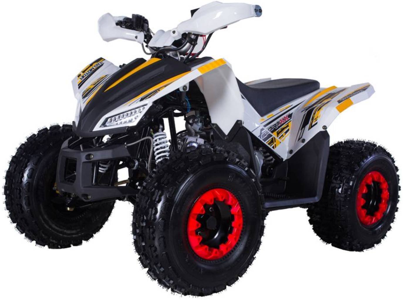 Tao Motor Rex - TaoTao Parts Direct