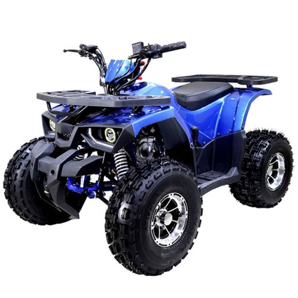 Tao Motor Raptor - TaoTao Parts Direct