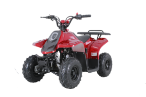 Tao Motor Rock 110 | 110cc Kids ATV with reverse
