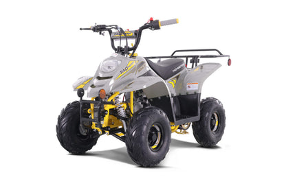 TaoTao Boulder B110 | 110cc Kids ATV