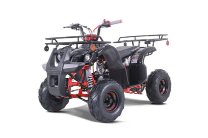 Tao Motor D125 | 110cc Youth Utility ATV