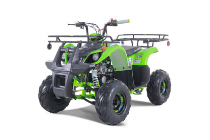 Tao Motor D125 | 110cc Youth Utility ATV