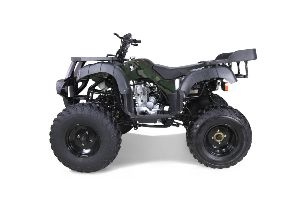 Tao Motor Rhino 250 | 200cc Utility ATV