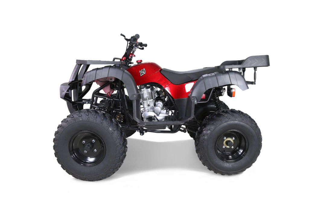 Tao Motor Rhino 250 | 200cc Utility ATV
