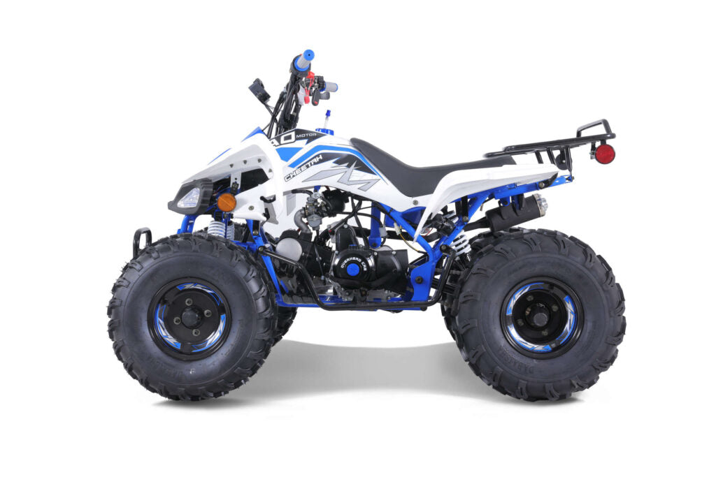 Tao Motor Cheetah | 110cc Youth Sport ATV