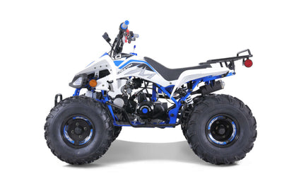 Tao Motor Cheetah | 110cc Youth Sport ATV