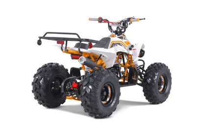 Tao Motor Cheetah | 110cc Youth Sport ATV