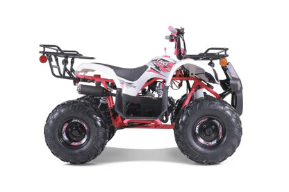 Tao Motor T-Force | 110cc Youth utility ATV