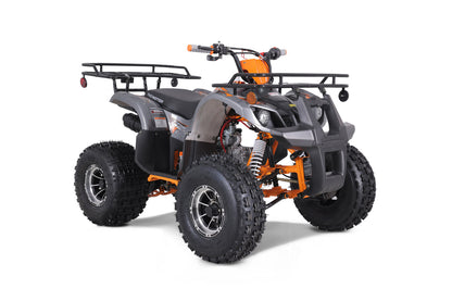 Tao Motor T-Force Platinum | 125cc Youth Utility ATV