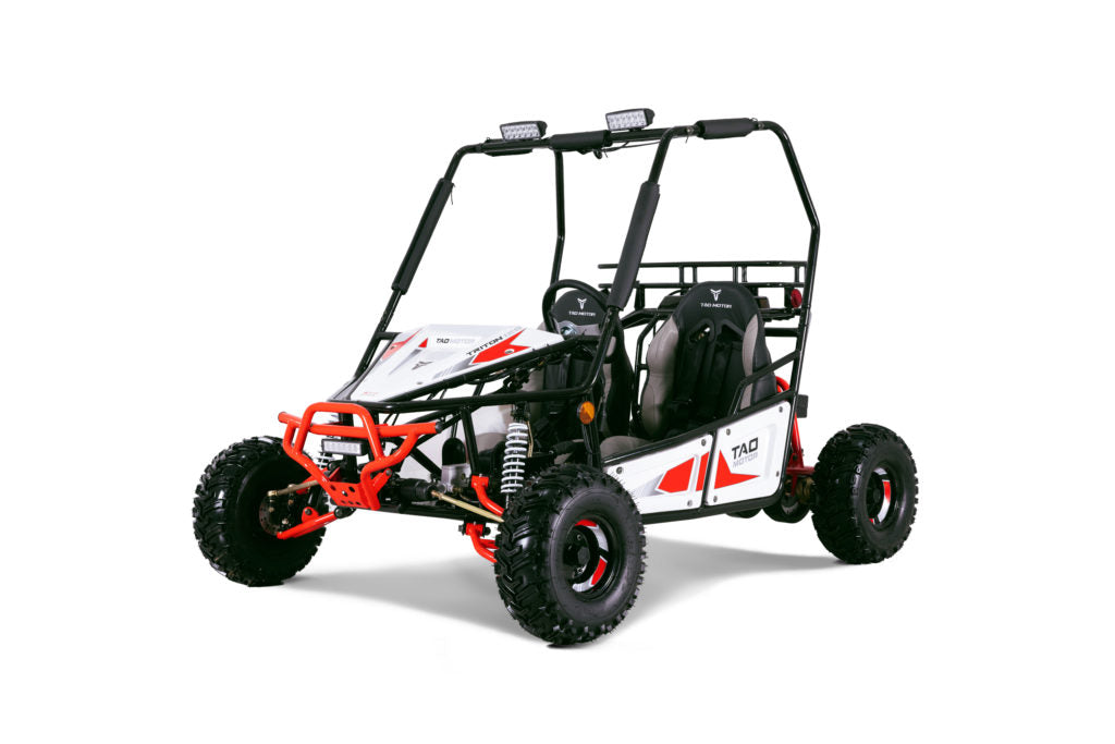 Tao Motor Triton | 125cc Go kart