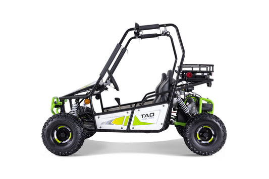 Tao Motor Triton | 125cc Go kart