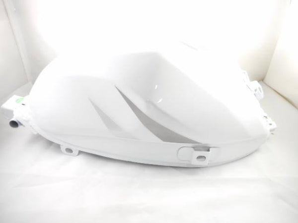 Racer50 Fuel Tank - TaoTaoPartsDirect.com