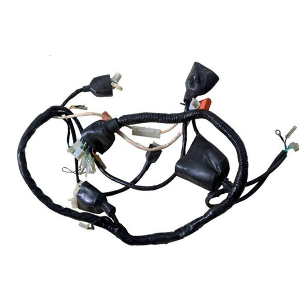 Racer50 Wire Harness - TaoTaoPartsDirect.com