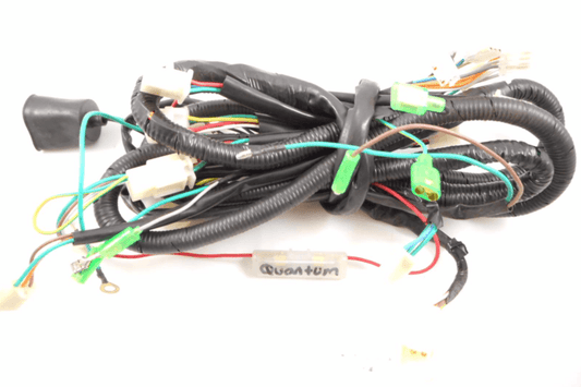Quantum150 Wire Harness - TaoTao Parts Direct