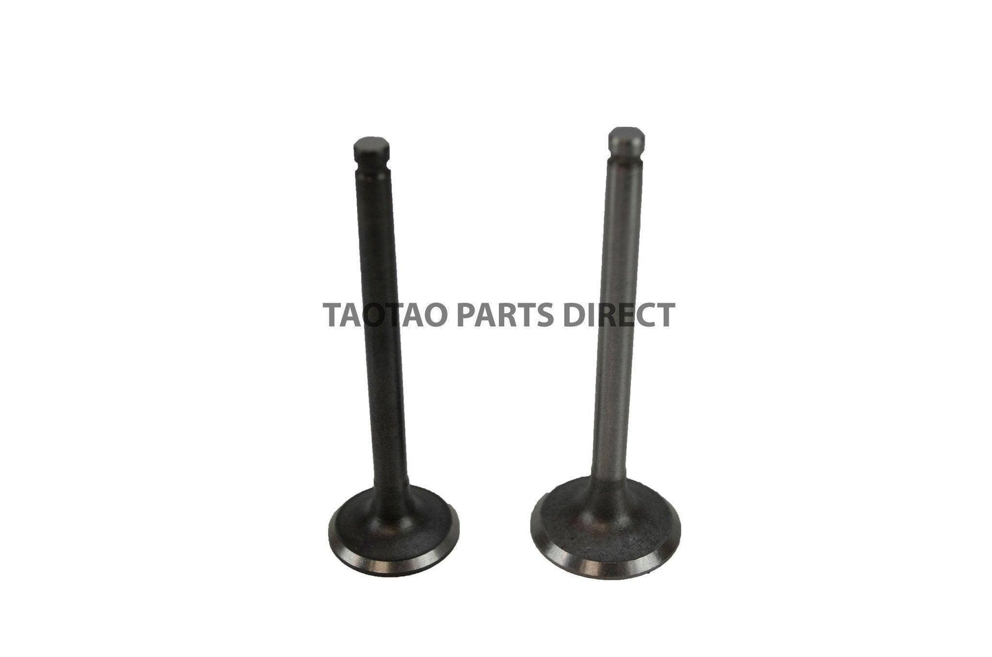 125cc Intake and Exhaust Valve Set - TaoTao Parts Direct