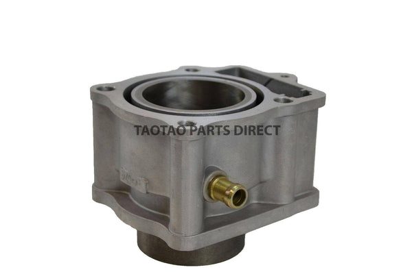 300cc Cylinder Jug - TaoTaoPartsDirect.com