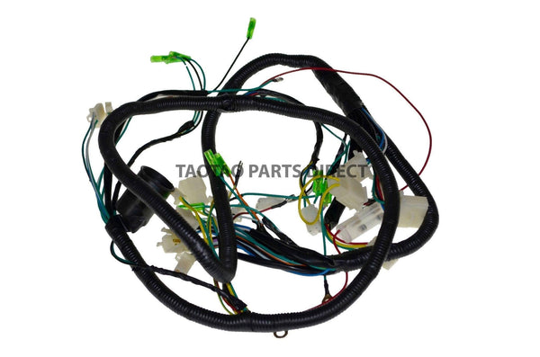 Thunder 50 Wire Harness - TaoTaoPartsDirect.com